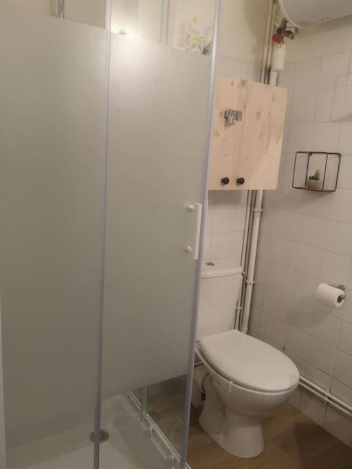 Appartement Cosy Au Centre-Ville De Toulouse Dış mekan fotoğraf