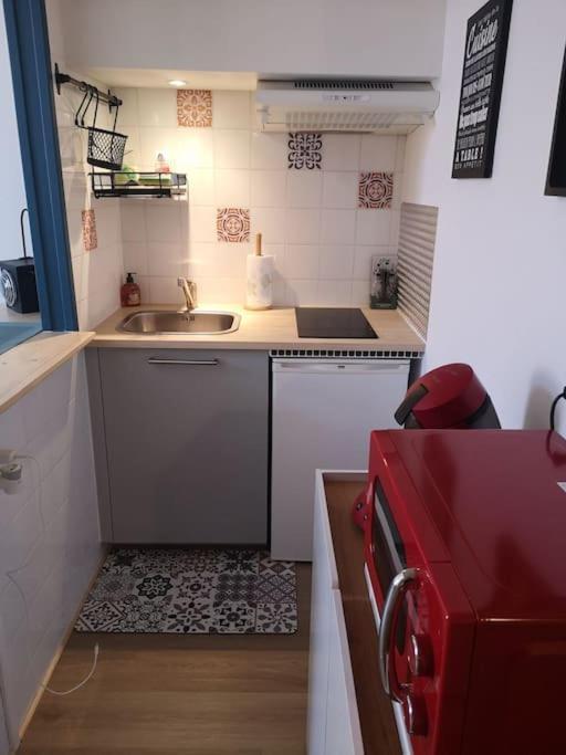 Appartement Cosy Au Centre-Ville De Toulouse Dış mekan fotoğraf